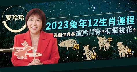 今年病位|麥玲玲2023風水佈局｜正東方病位須化解！如個催旺 